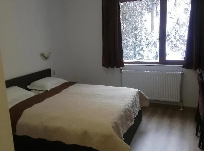 Вила Обзор *